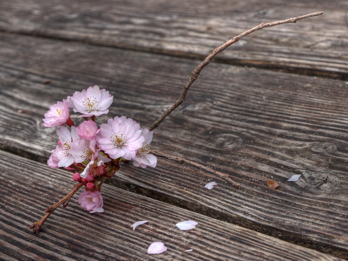 Sorgfältige Pflege von Haus und Garten